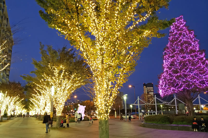 イルミラINZAIのイルミネーション