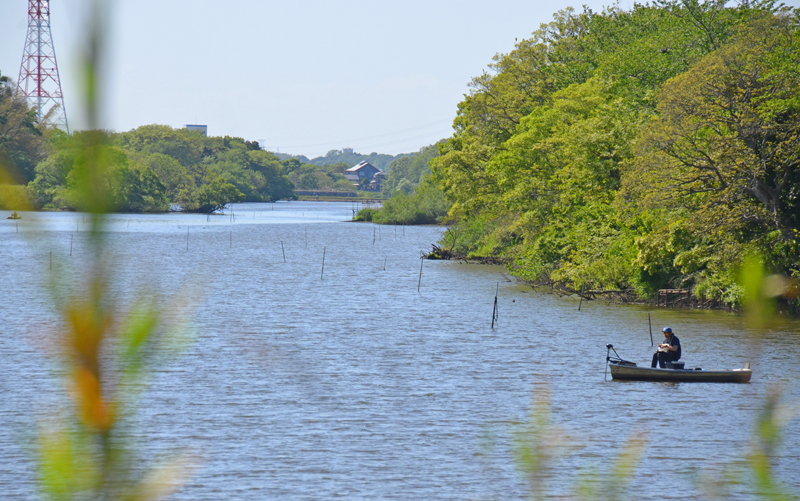 印西市と栄町を流れる将監川