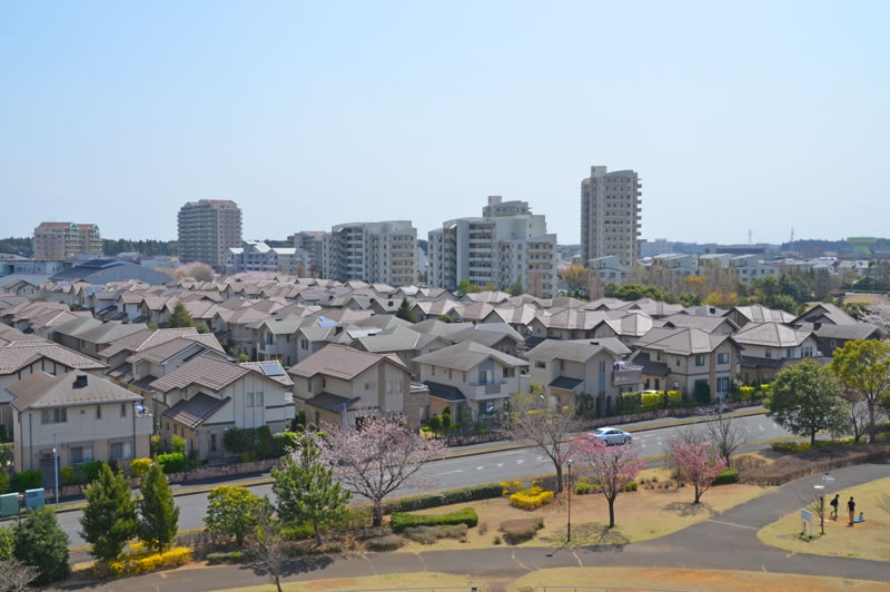 印西牧の原の住宅街景色