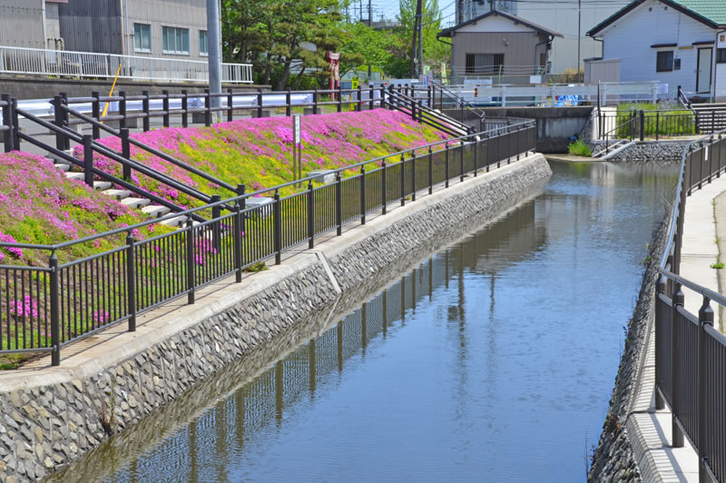 印西市木下の川辺の風景