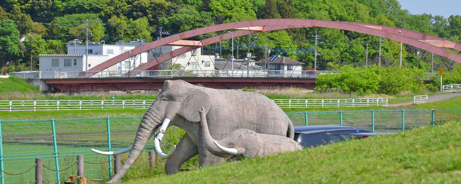 印西市印旛沼沿いの双子公園のナウマンゾウ