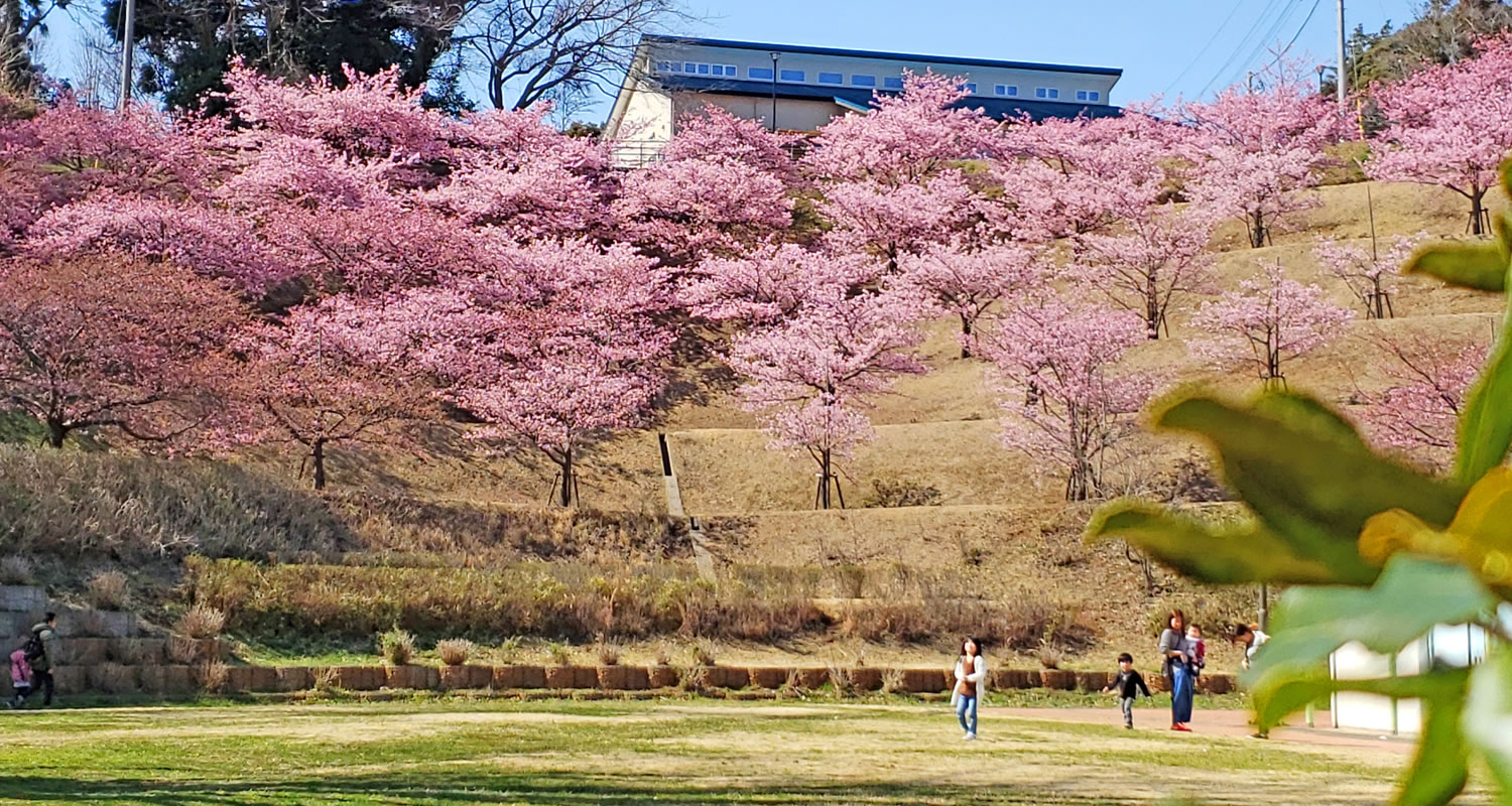 木下万葉公園Kioroshi Park