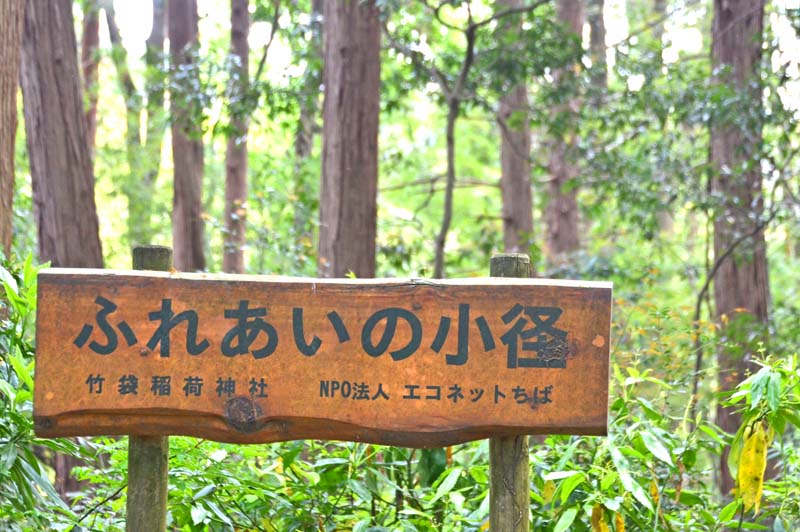 印西ふれあいの小径