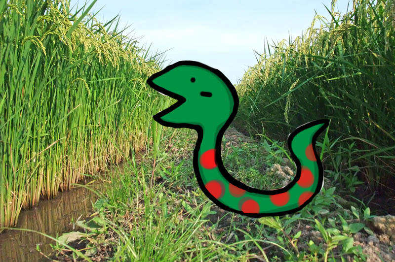 里山の蛇について