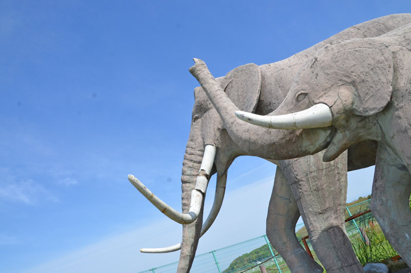 双子公園のナウマンゾウ