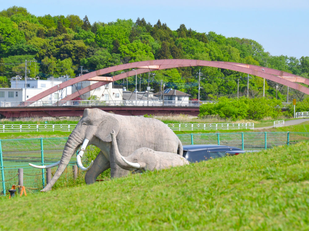 双子公園のナウマンゾウの像と山田橋