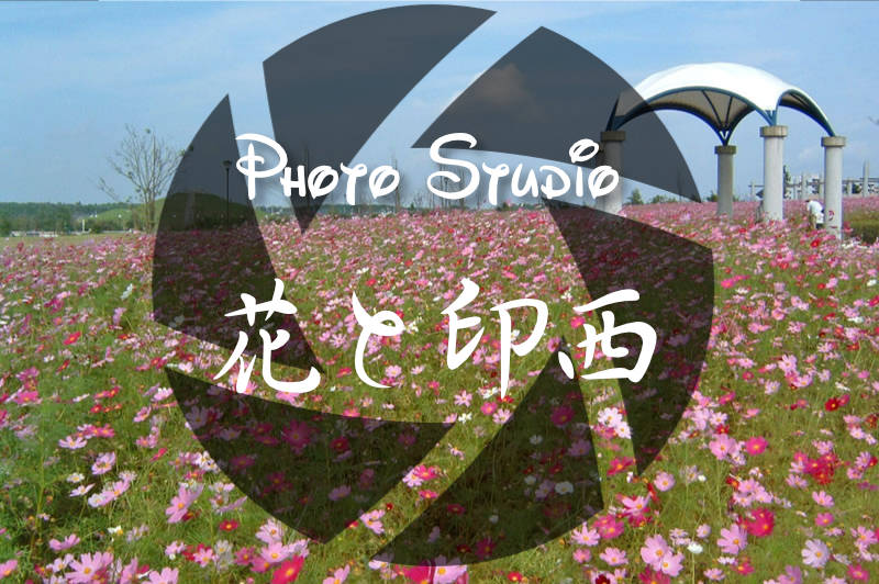 印西と花の風景