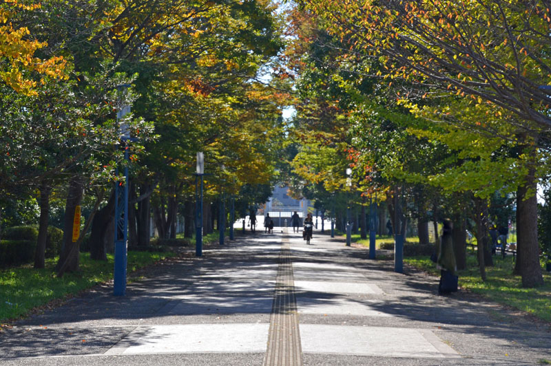 印西牧の原駅前遊歩道