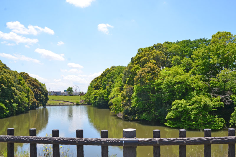公園の反対側から池を臨む