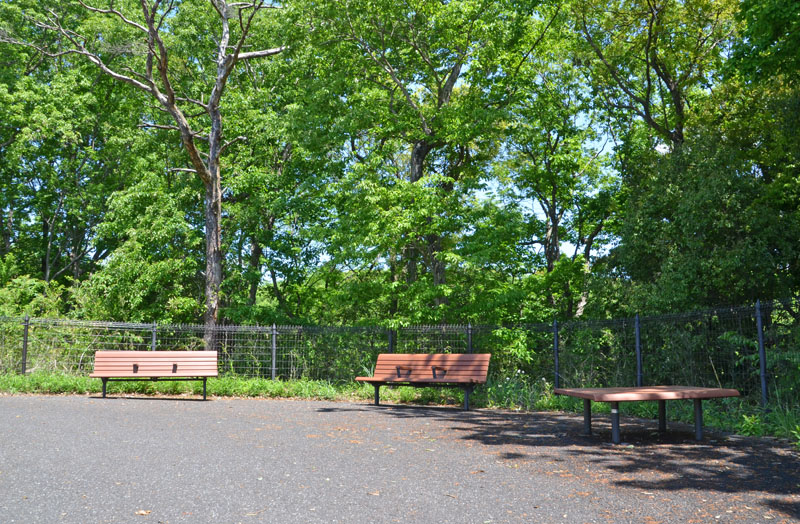 別所緑地のベンチ