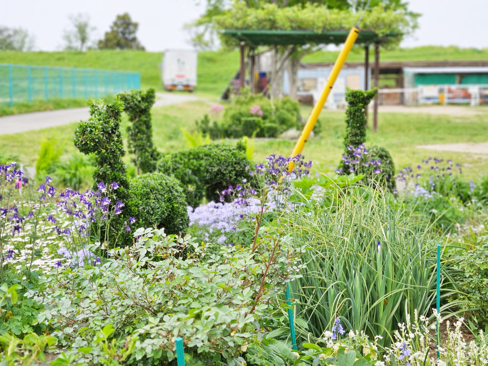 小貝川ポニー牧場の児童公園の植栽