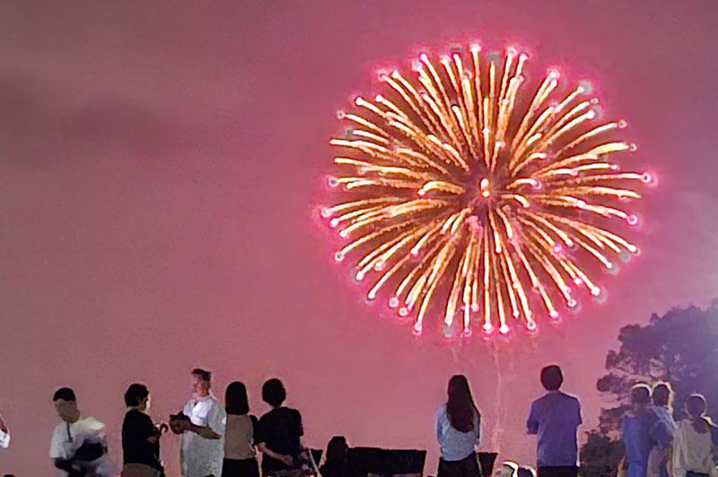 木下交流の杜広場から利根川の花火大会