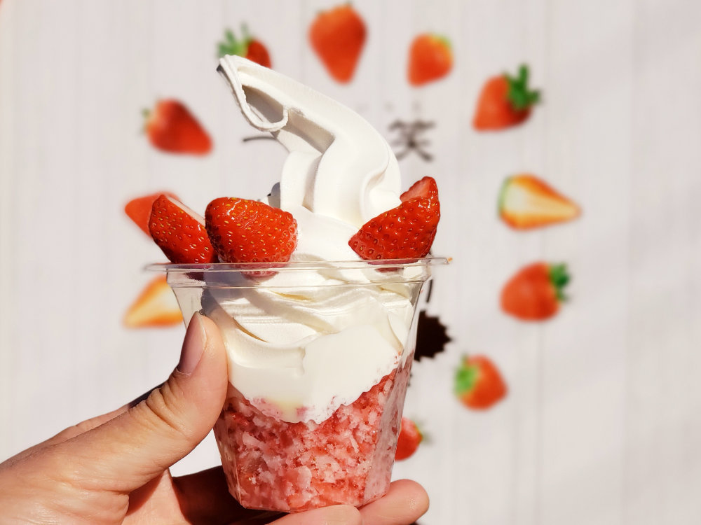 和田農園｜時間無制限いちご狩りとスイーツ｜千葉県印西市