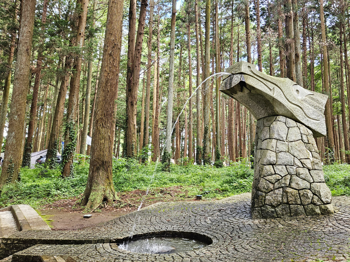 龍ケ崎市森林公園の龍のせせらぎ水遊び