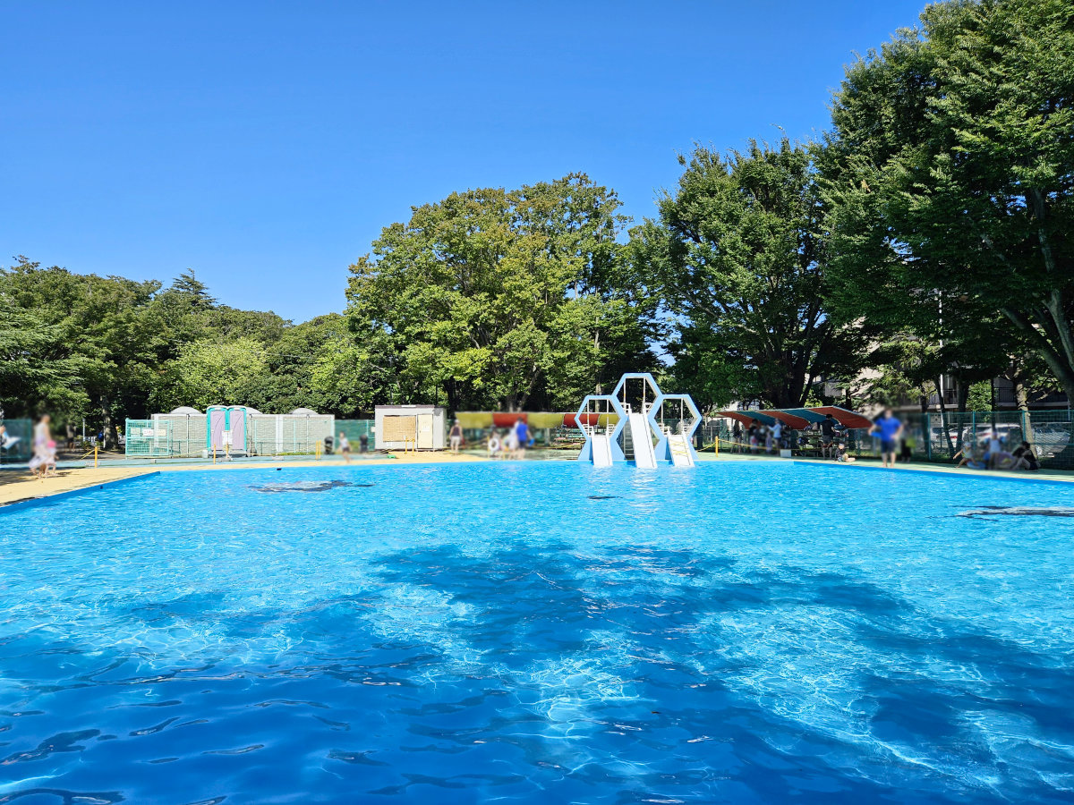 薬円台公園の徒渉池