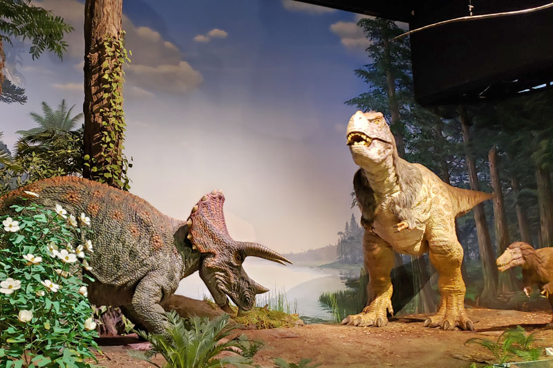 茨城県自然博物館