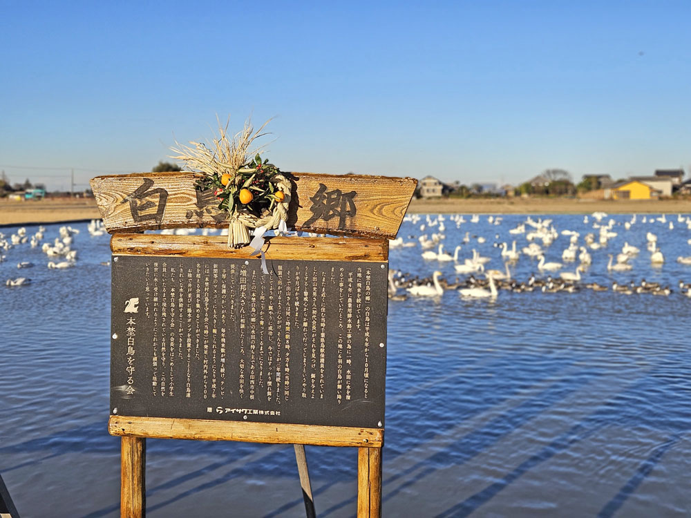本埜白鳥の郷の看板