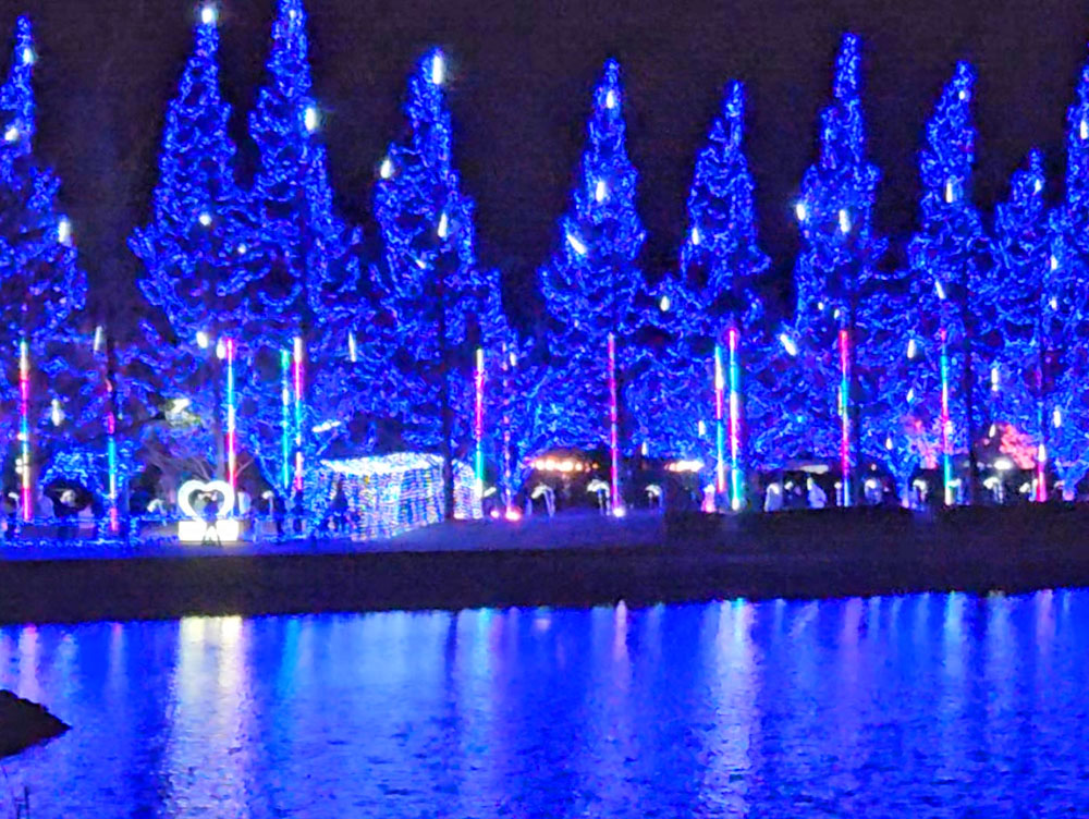 かわちイルミネーション2023-2024