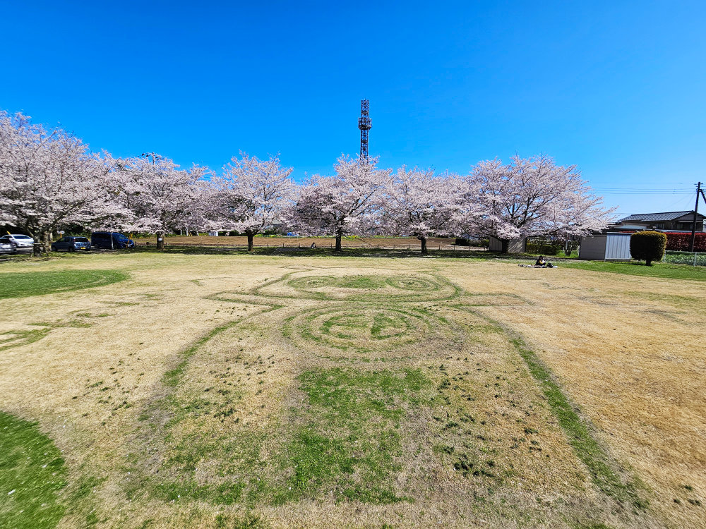 船穂コミュニティセンターの桜といんザイ君