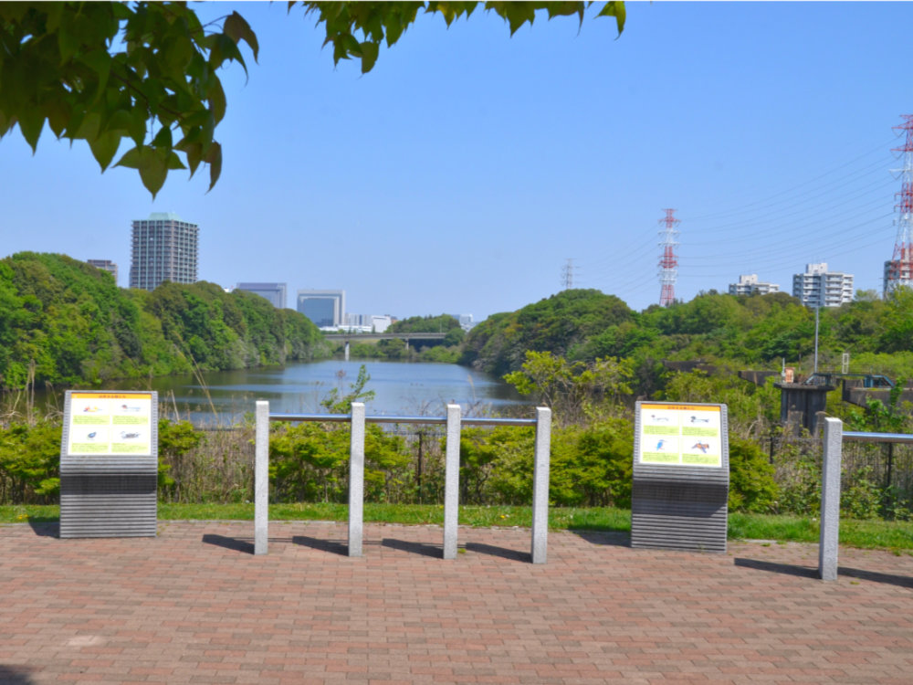 北総花の丘公園Cゾーンと調整池