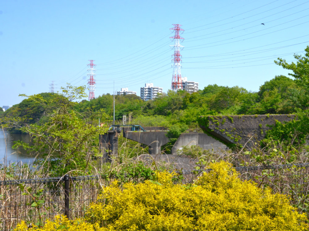 北総花の丘公園の橋脚