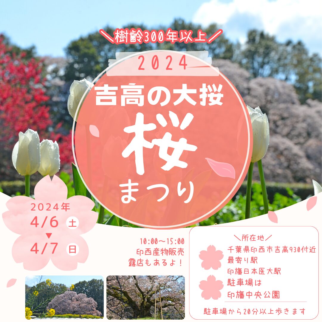 吉高の大桜桜まつり2024