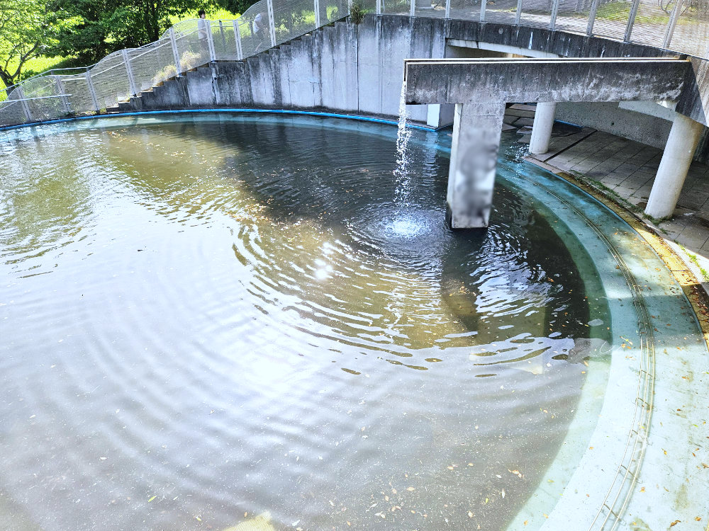 たつのこ山龍ケ岡公園の滝池