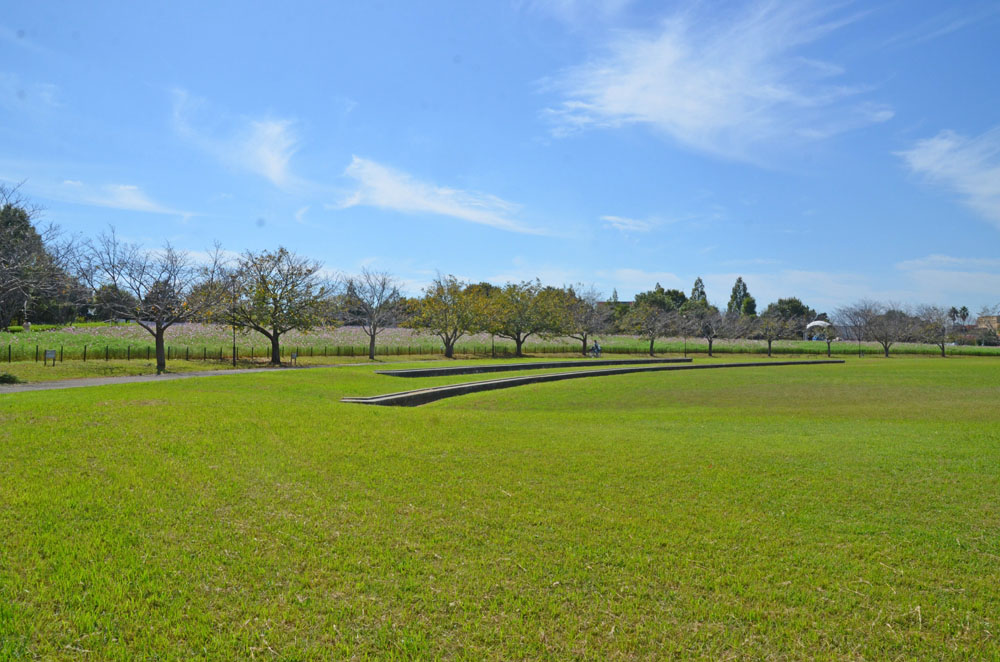 牧の原公園芝生広場