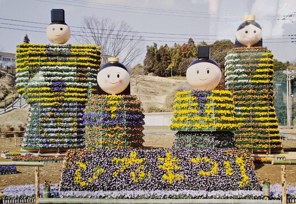 印西市木下のビッグ雛祭り