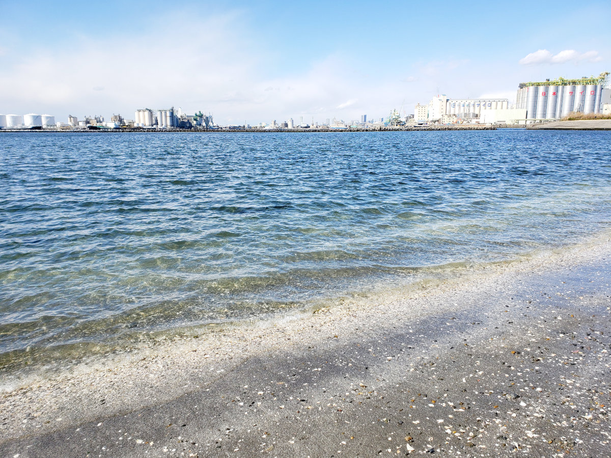 千葉ポートパークの海岸