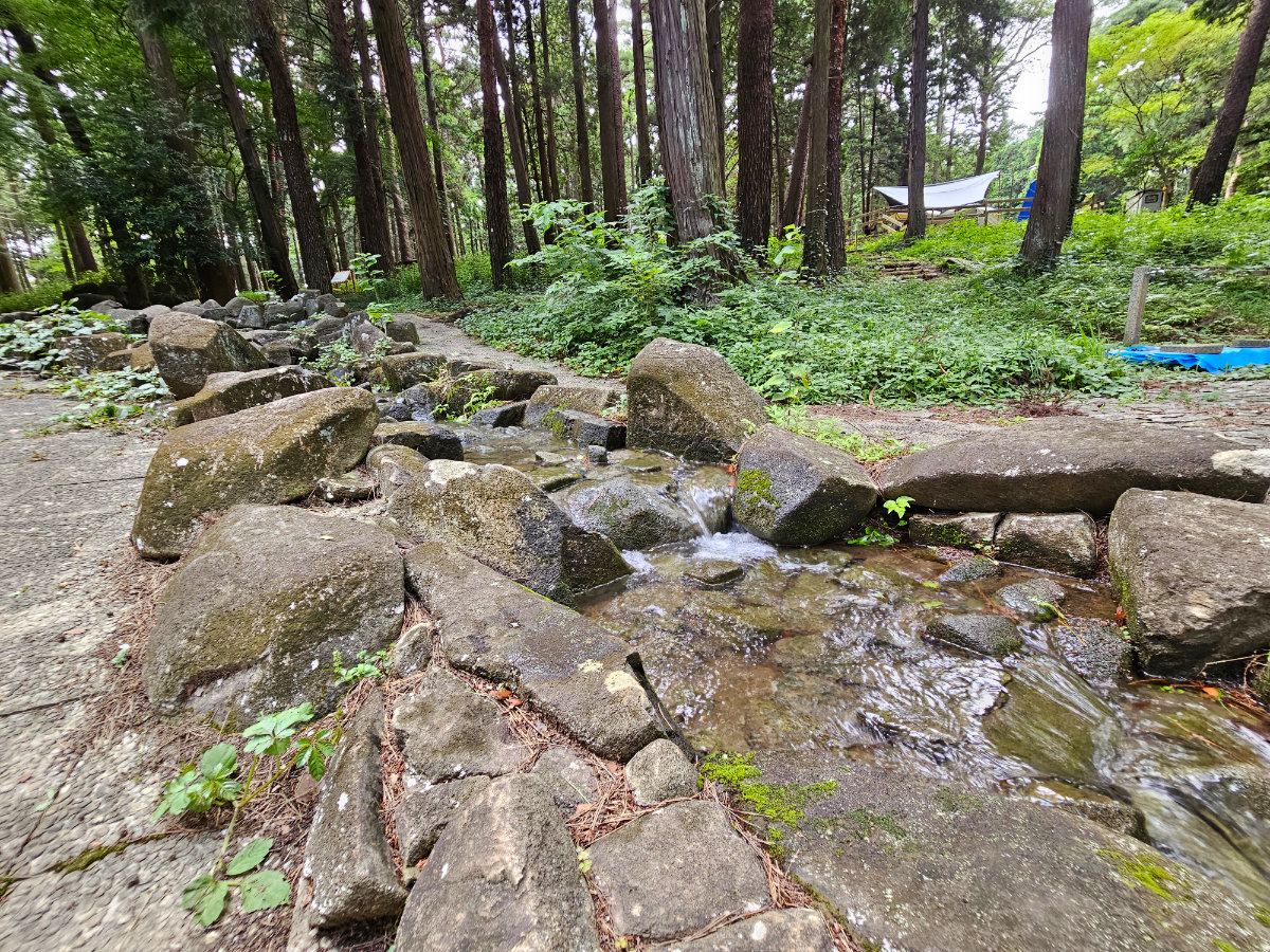 龍ケ崎市森林公園のせせらぎじゃぶじゃぶ池