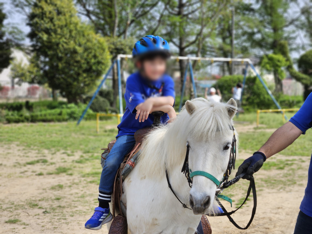 ポニー牧場の引き馬体験