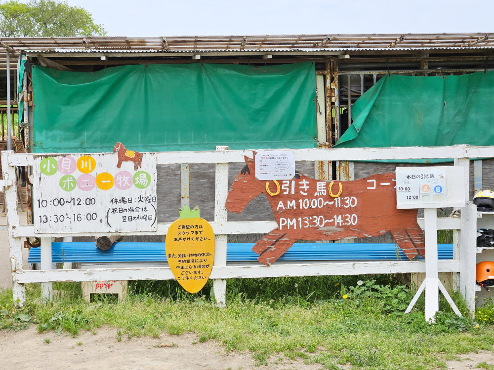 小貝川ポニー牧場のひき馬