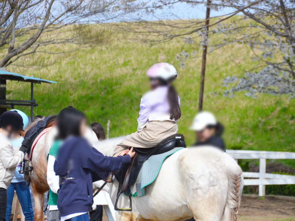 小貝川ポニー牧場で生徒どうしで協力する姿
