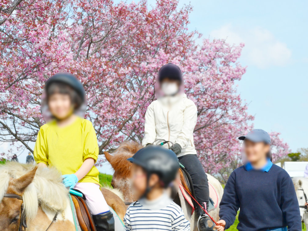 小貝川ポニー牧場の乗馬レッスン