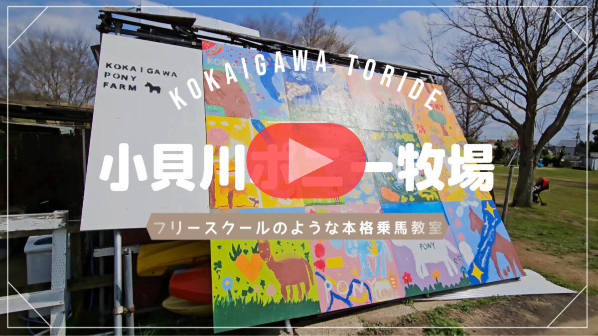 小貝川ポニー牧場のYoutube動画
