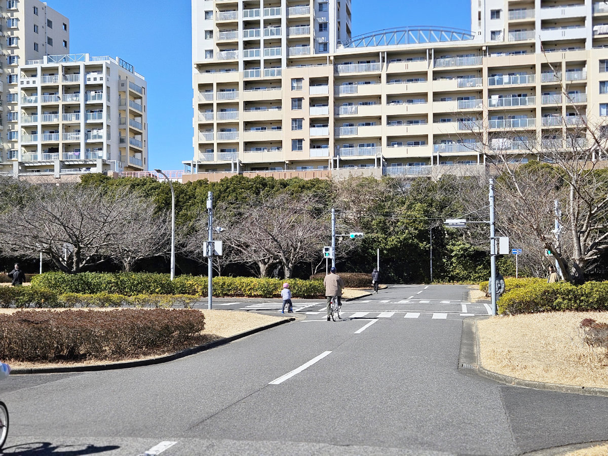 花見川緑地交通公園の広さ