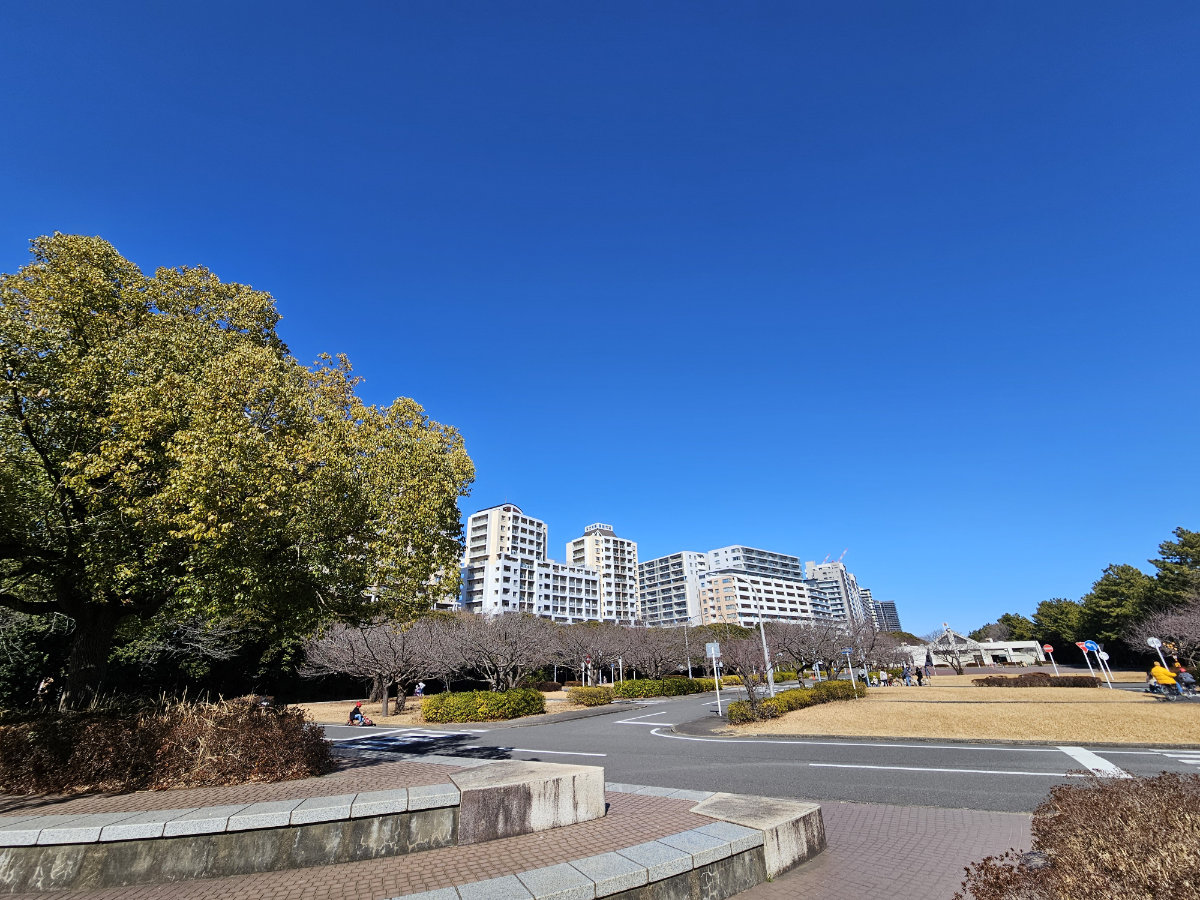 花見川緑地交通公園の園内