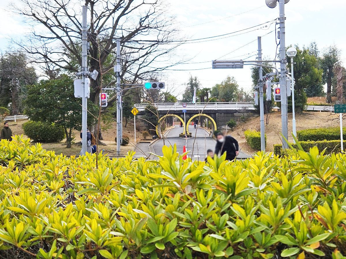 松戸ユーカリ公園