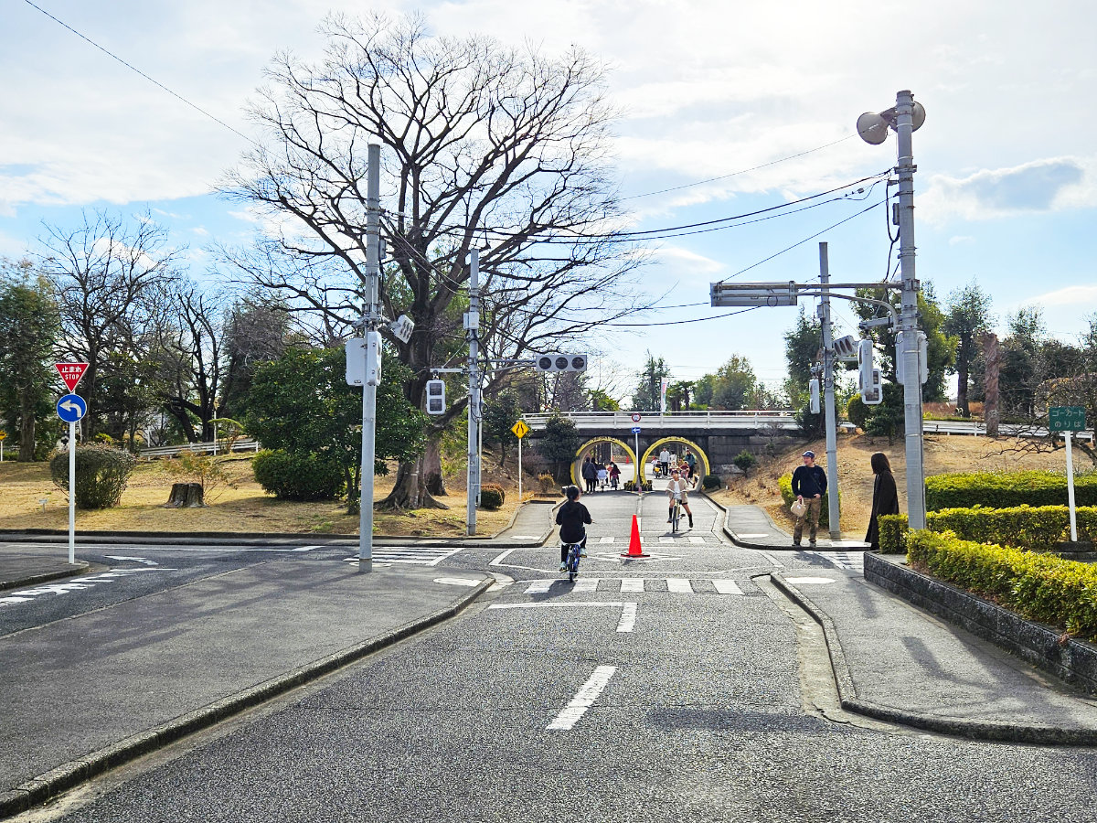 松戸ユーカリ交通公園の園内