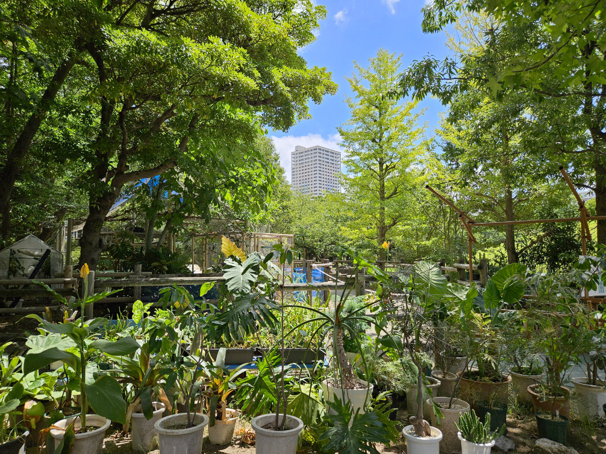 若潮公園の植物園エリア