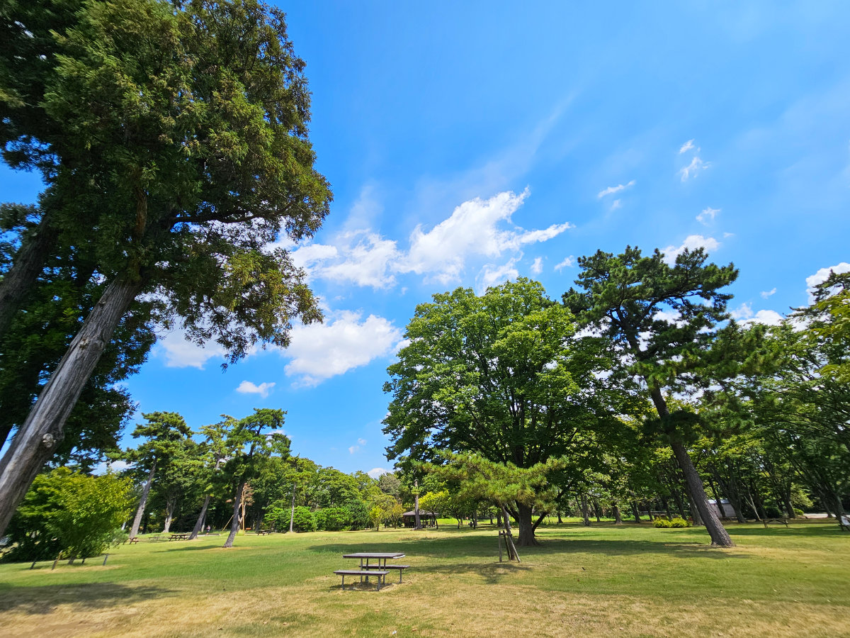 八柱霊園