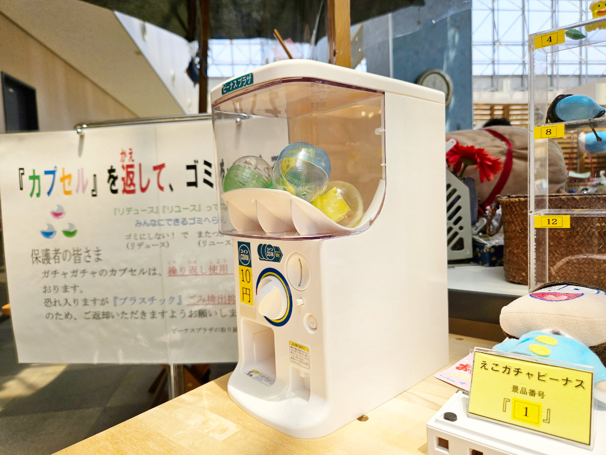 エコガチャビーナスショップ
