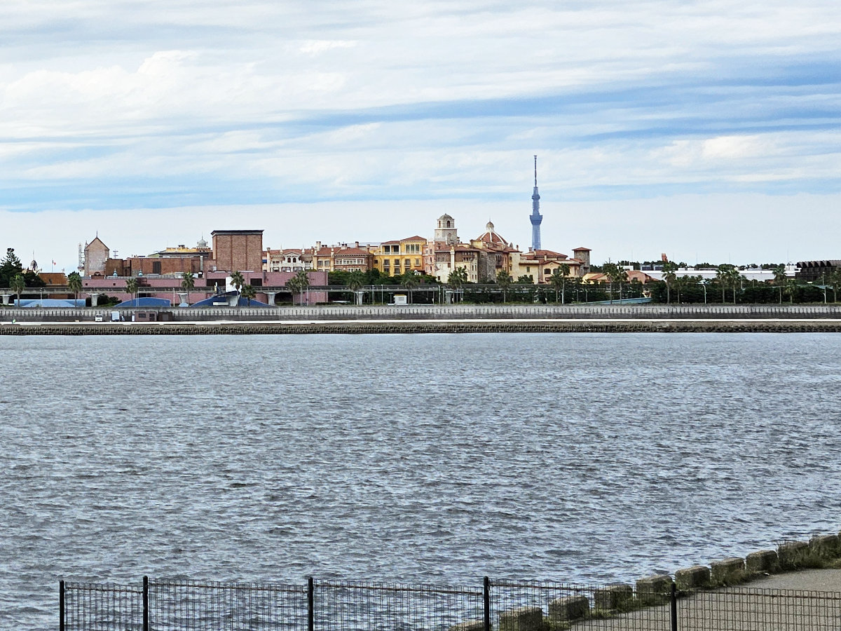 東京ディズニーシーと東京スカイツリーの景色