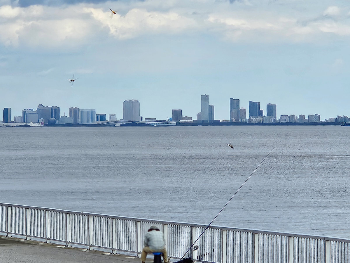 浦安から幕張新都心を臨む景色