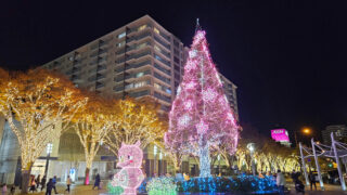 イルミライ★INZAI2025-2026|千葉県北西部最大級のイルミネーション|印西市