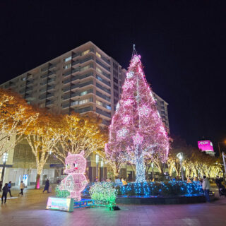 イルミライ☆INZAI2025-2026｜千葉県北西部最大級のイルミネーション