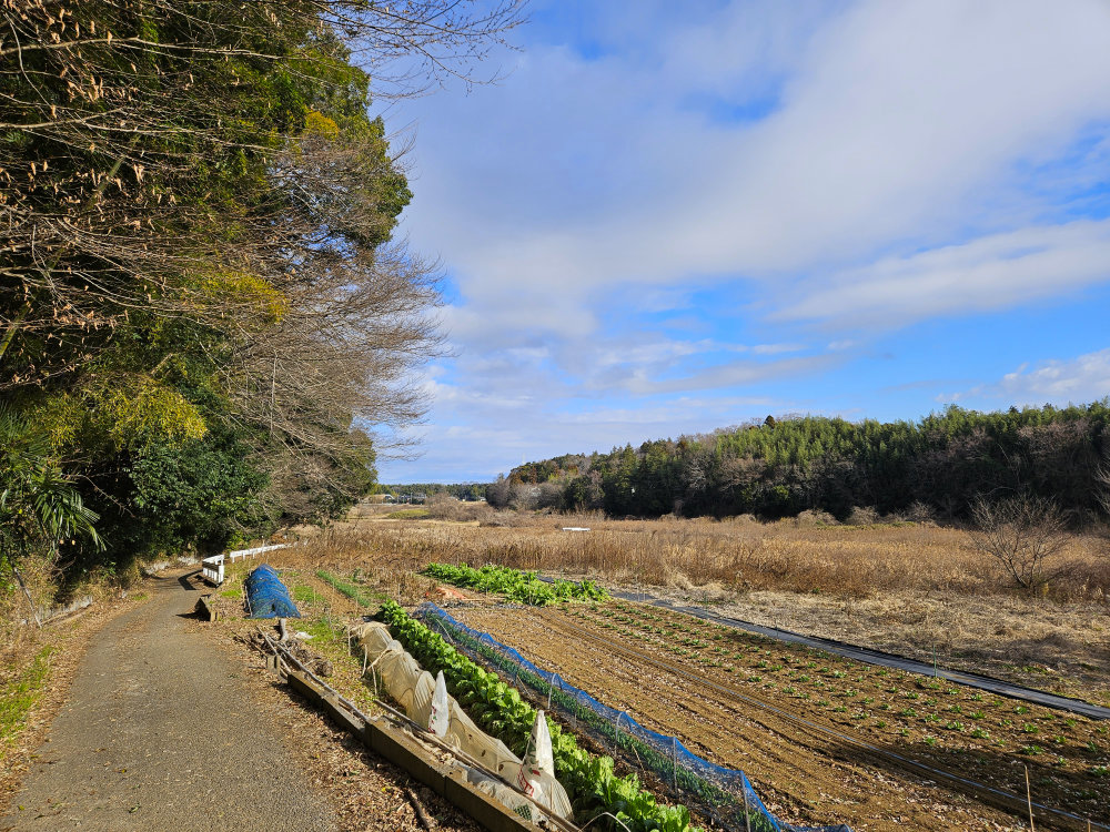 国道296号八千代バイパス計画ルート