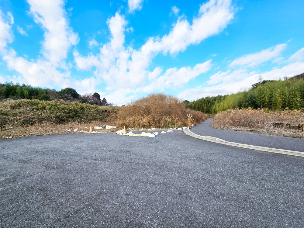 国道296八千代バイパスのユーカリが丘側2026年