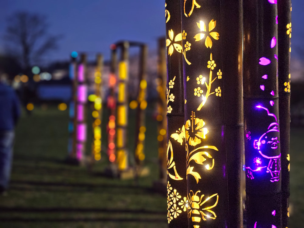 我孫子竹灯籠・竹宵ライトアップ